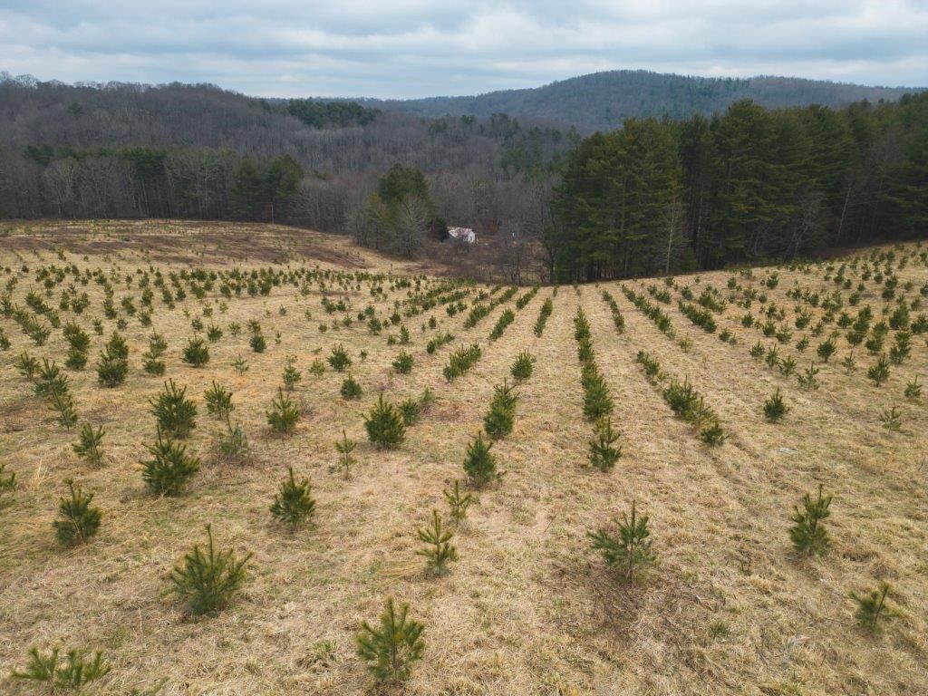 Tbd Long Mountain Road Southwest Willis, VA 24380 - Photo 10 of 66 Gallery Image 10