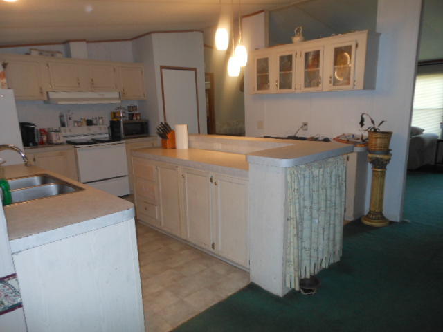218 Dunmeyer Hill Road Summerville, SC 29485 - Photo 12 of 34 DSCN0533