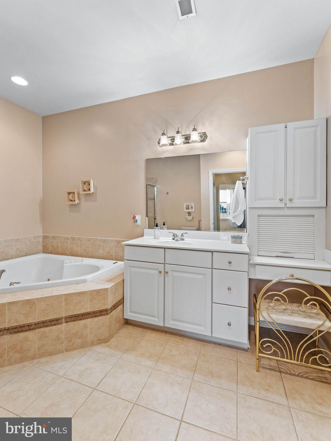 1707 Hulnick Road, Unit 43830 Coatesville, PA 19320 - Photo 28 of 36 a spacious bathroom with a sink a bathtub and a mirror