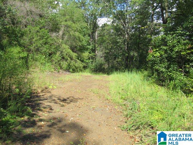 79 Highway 79, Unit 33 Cleveland, AL 35049 - Photo 19 of 32