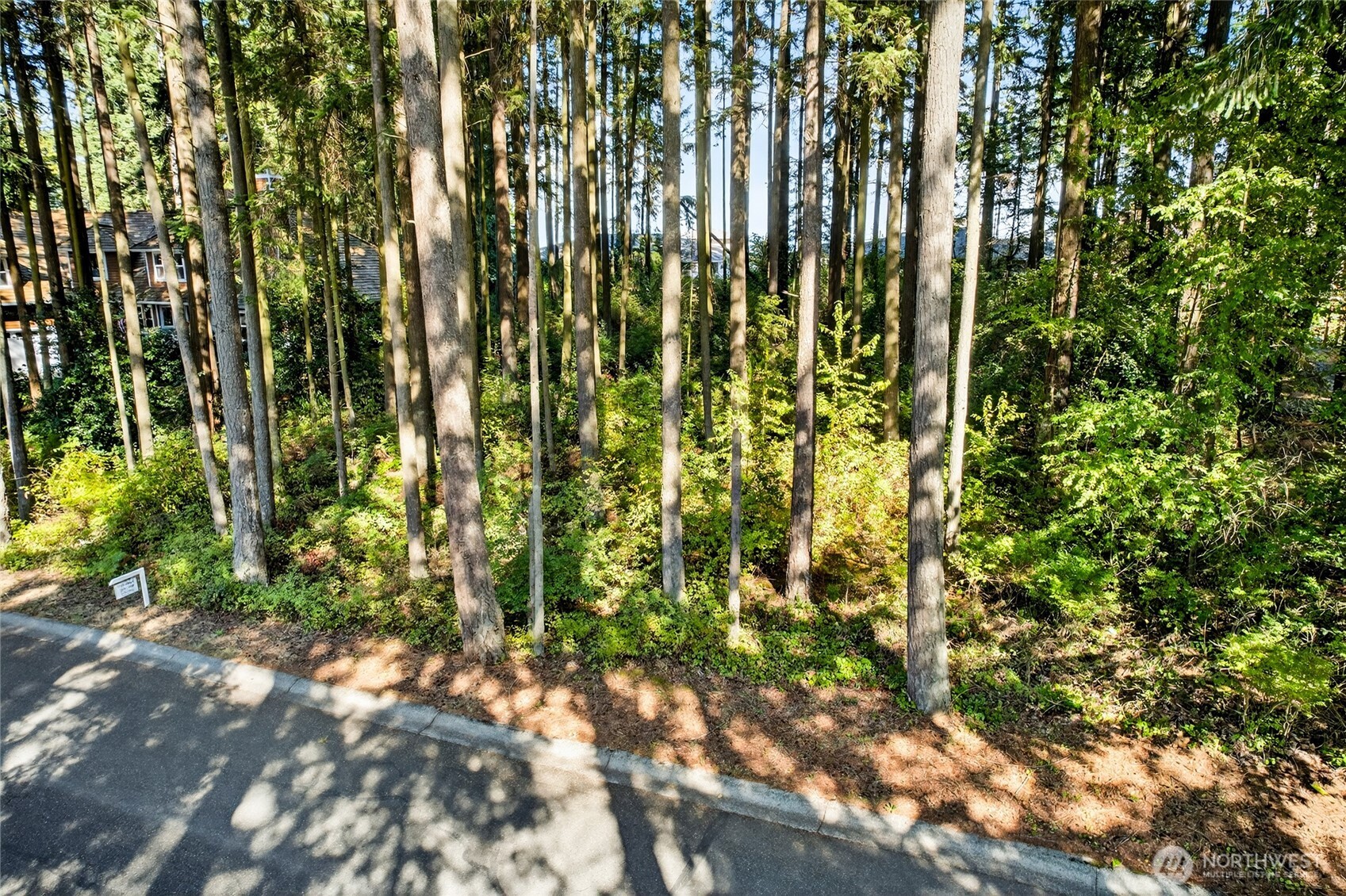 5488 Canvasback Road Blaine, WA 98230 - Photo 3 of 13 Gallery Image 3