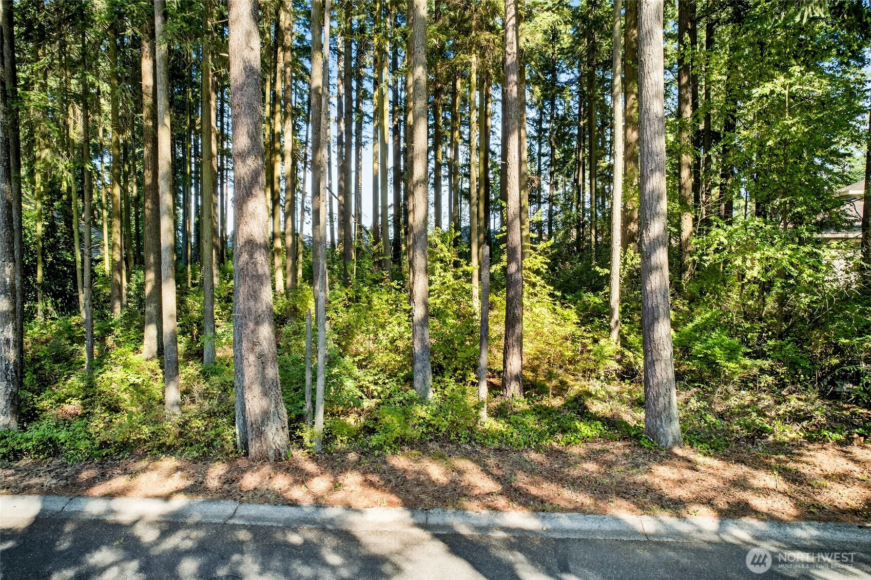 5488 Canvasback Road Blaine, WA 98230 - Photo 4 of 13 Gallery Image 4