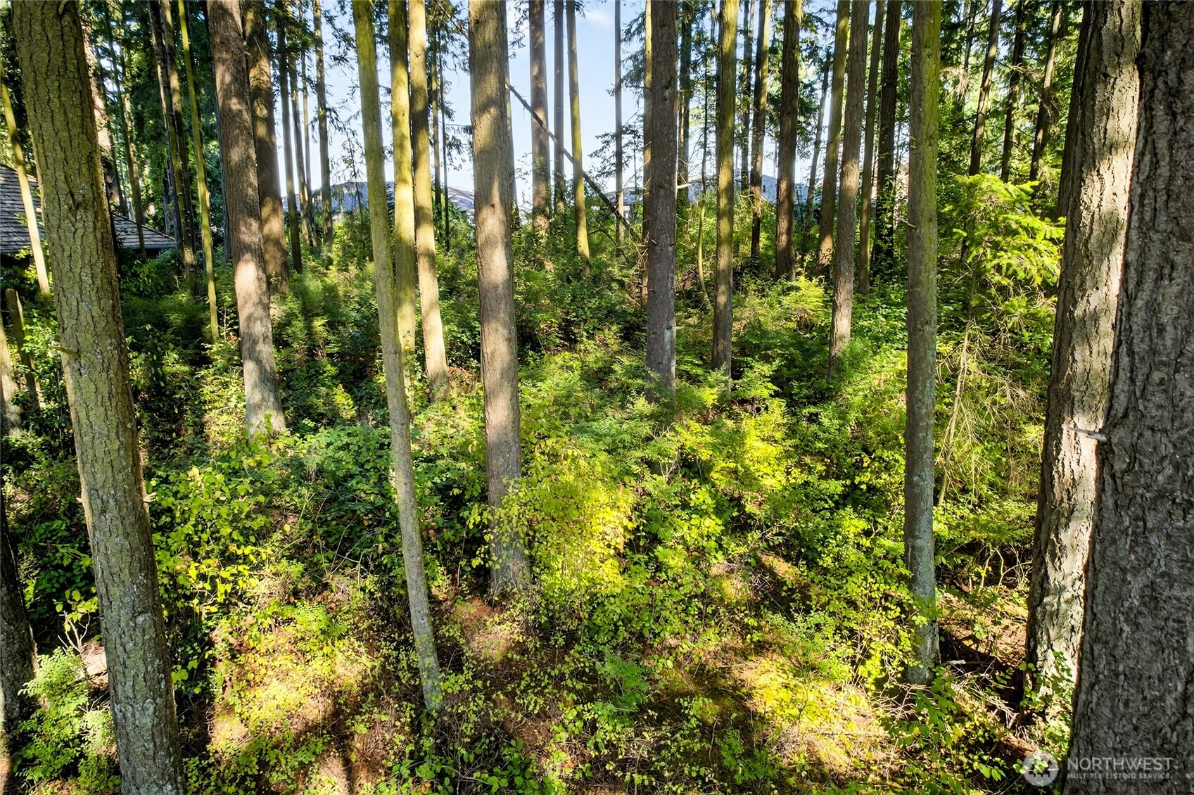 5488 Canvasback Road Blaine, WA 98230 - Photo 6 of 13 Gallery Image 6