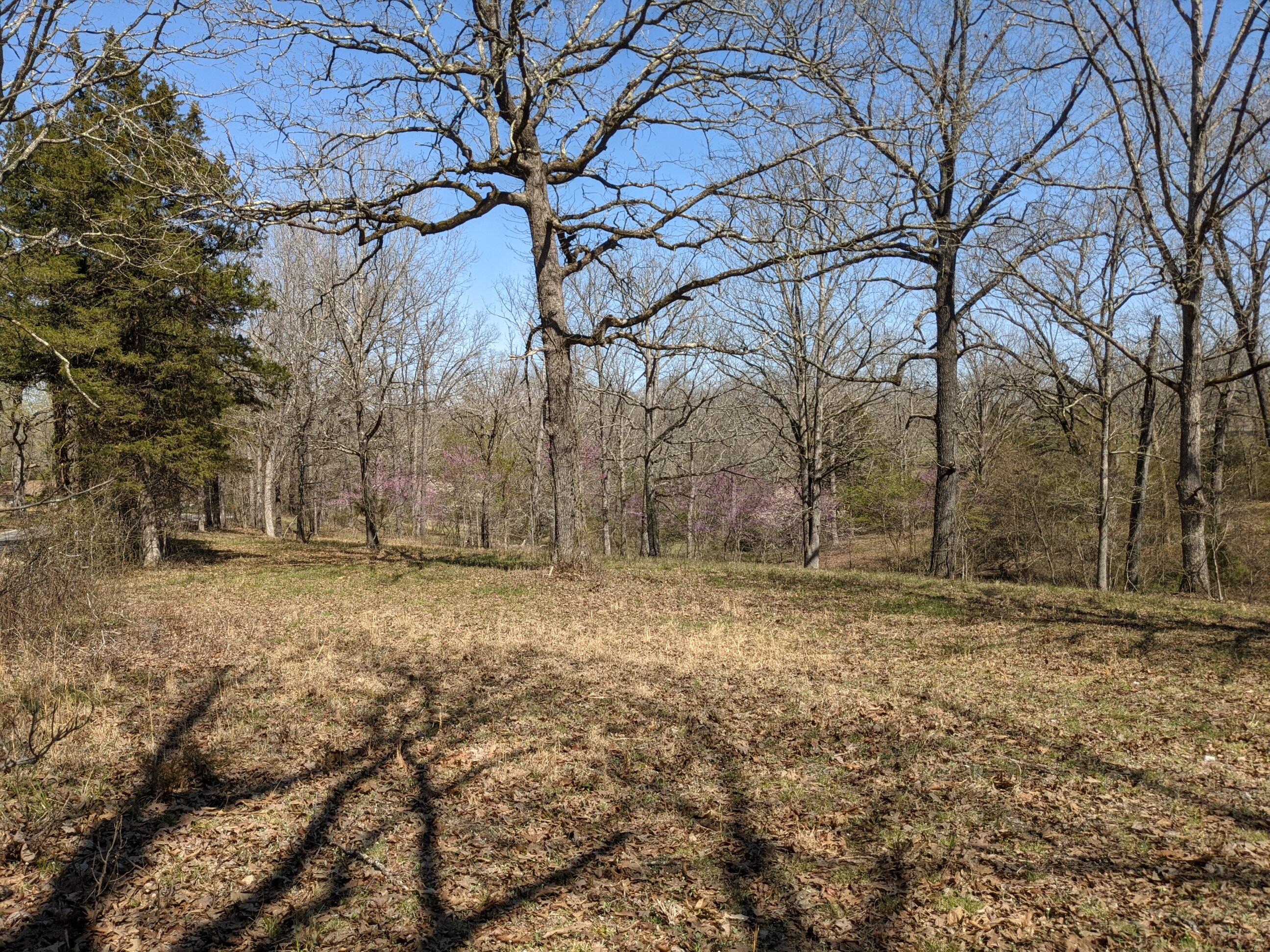 0 Oremus Road Forsyth, MO 65653 - Photo 1 of 1 PXL_20210401_195347857