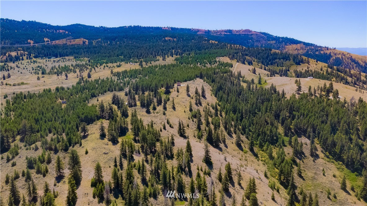 2105 Black Rock Road Waterville, WA 98858 - Photo 14 of 16 Gallery Image 14