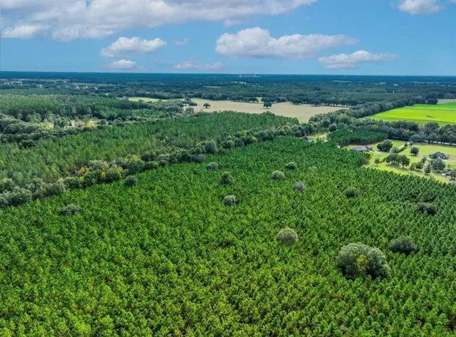 a view of yard with green space