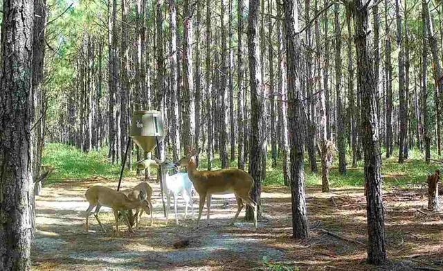 $482,600 | 0 Northwest 78th Avenue, High Springs, FL 32643