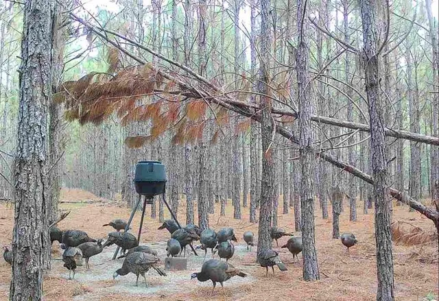 $482,600 | 0 Northwest 78th Avenue, High Springs, FL 32643