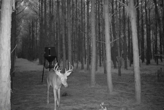 $482,600 | 0 Northwest 78th Avenue, High Springs, FL 32643