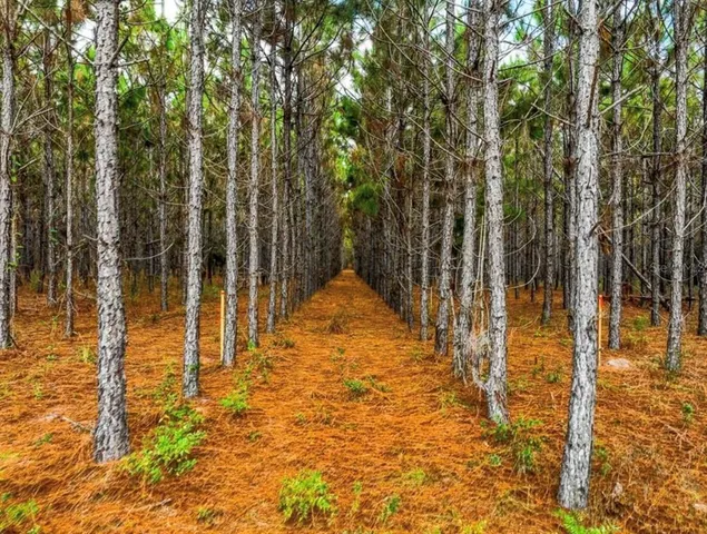 a view of swimming pool