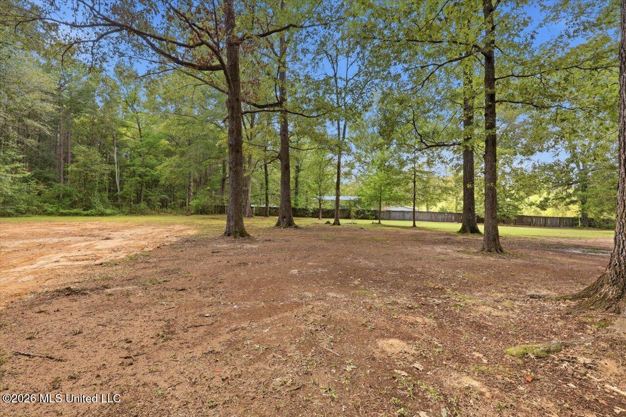 301 Maple Street Florence, MS 39073 - Photo 5 of 30 Beautiful Property