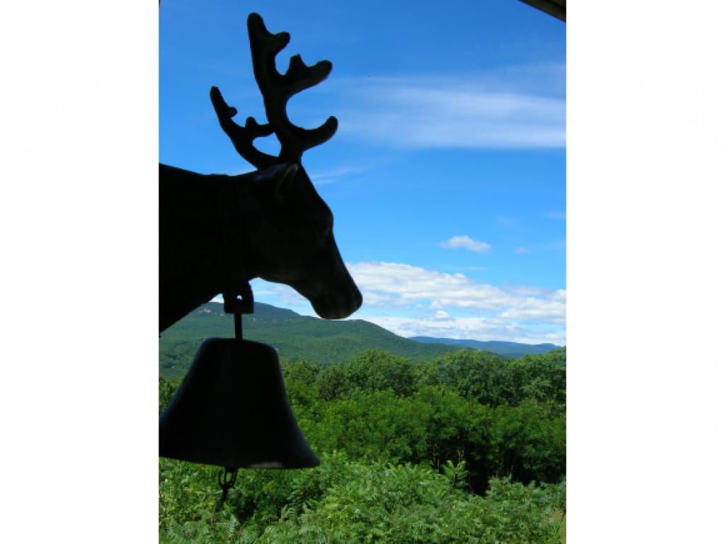 6-b-1 Summit Vista Road, Unit B1 Intervale, NH 03845 - Photo 30 of 30