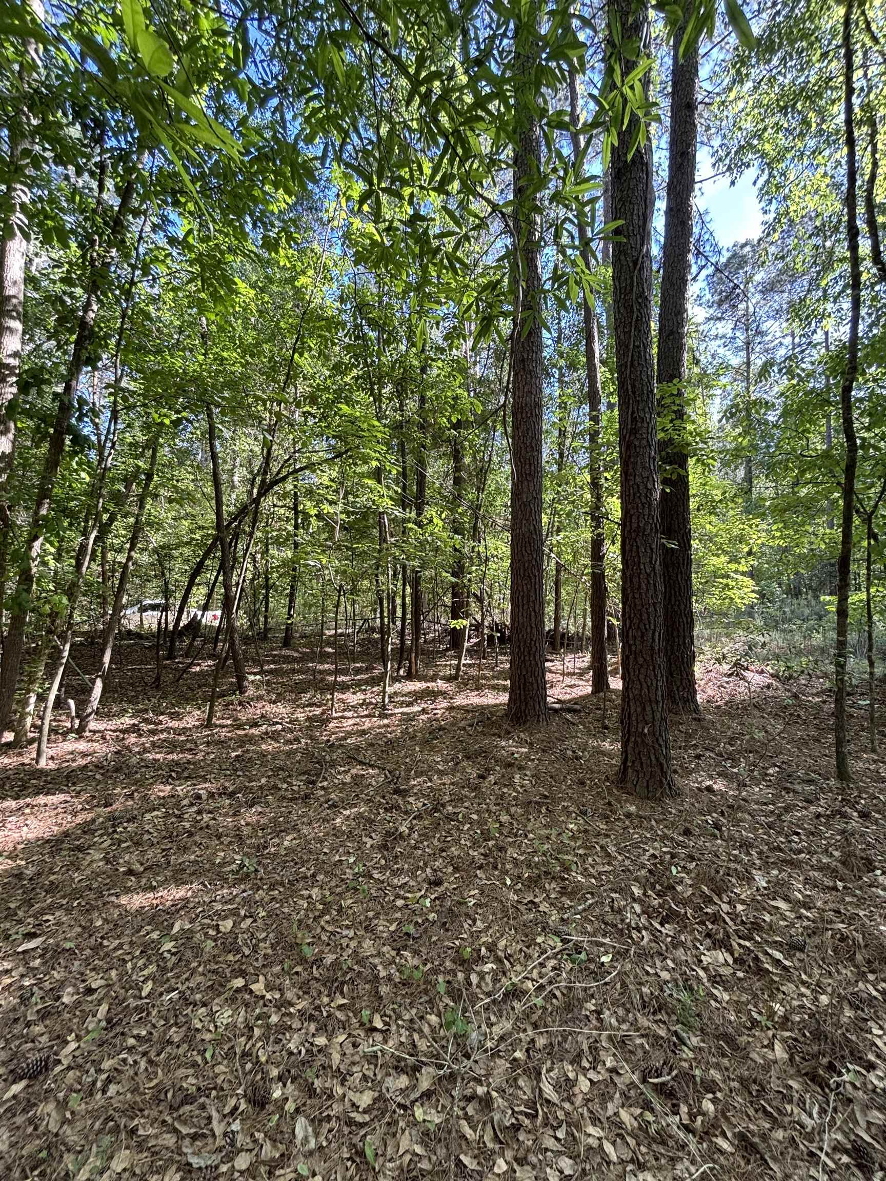 Tbd Pearson Road Summerton, SC 29148 - Photo 4 of 6
