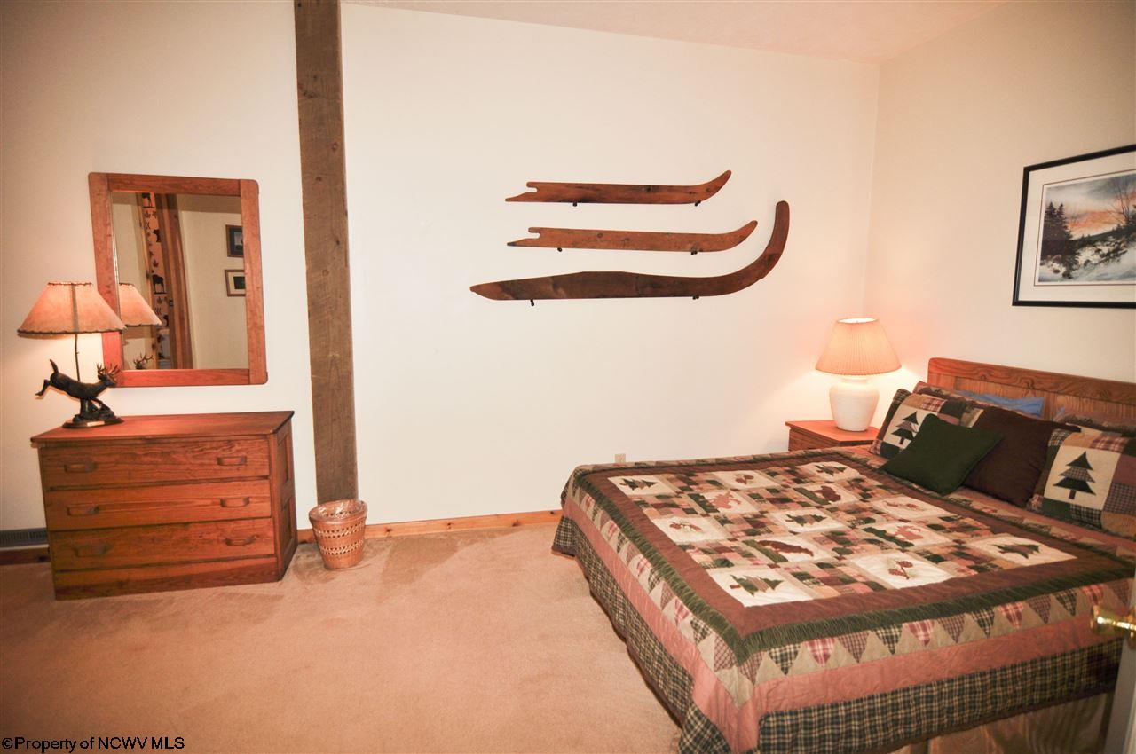 321 Slopeside Road Davis, WV 26260 - Photo 13 of 20 Gallery Image 13