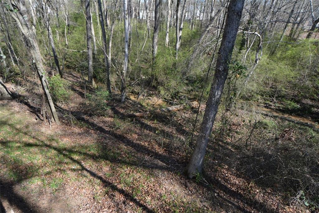 1816 Jessica Way Winder, GA 30680 - Photo 61 of 68