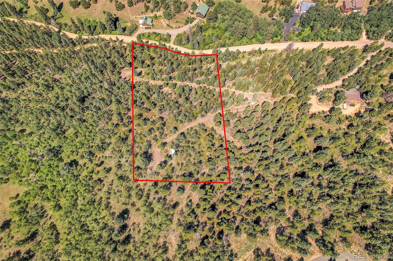 4 Hughesville Road Black Hawk, CO 80422 - Photo 11 of 29 a view of a yard with a plant
