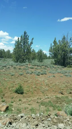a view of a field with trees in the background