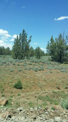 a view of a field with trees in the background