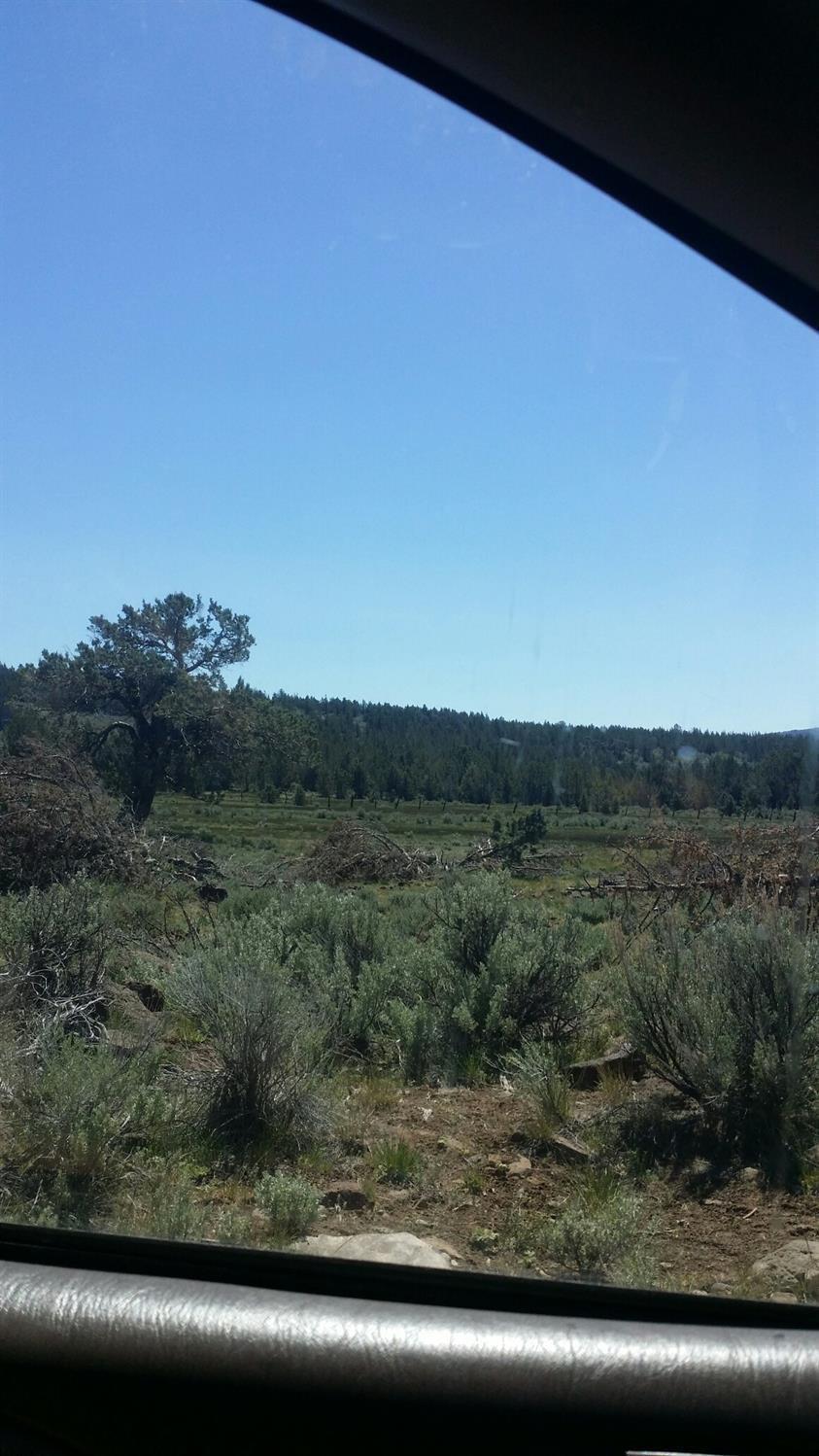 0 Clarks Valley Road Termo, CA 96132 - Photo 3 of 7 a view of a yard from a window