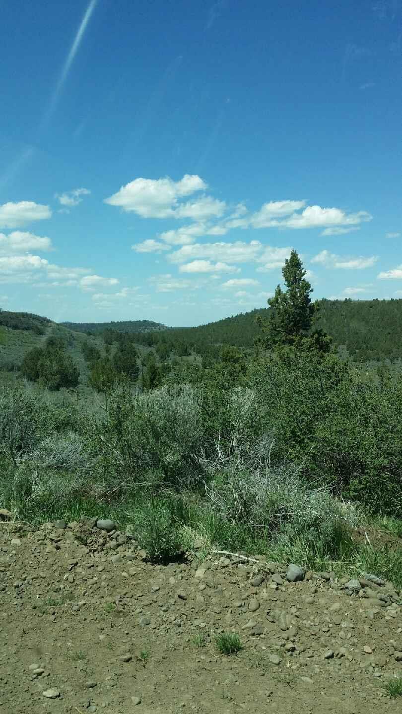 0 Clarks Valley Road Termo, CA 96132 - Photo 4 of 7 a view of a lake and mountain