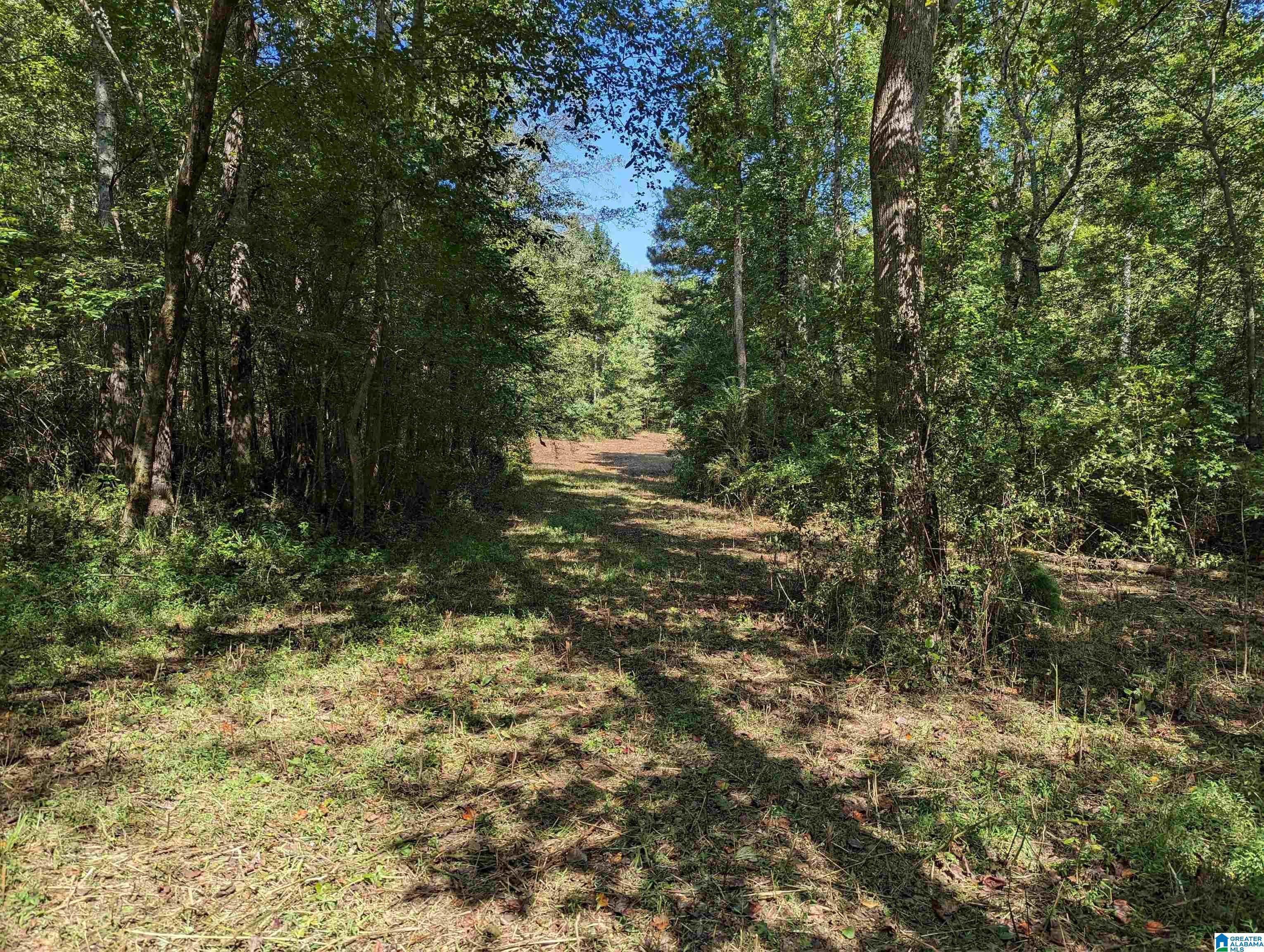 534 County Road, Unit 35 Woodland, AL 36280 - Photo 8 of 22