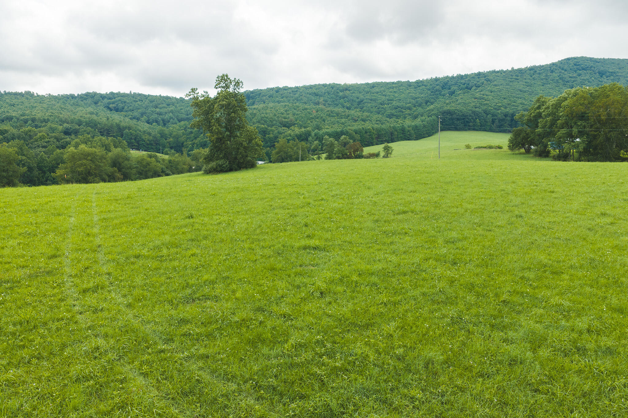 Lot 1 Ridgeview Road Northwest Floyd, VA 24091 - Photo 16 of 26 DJI_20260804125528_0316_D