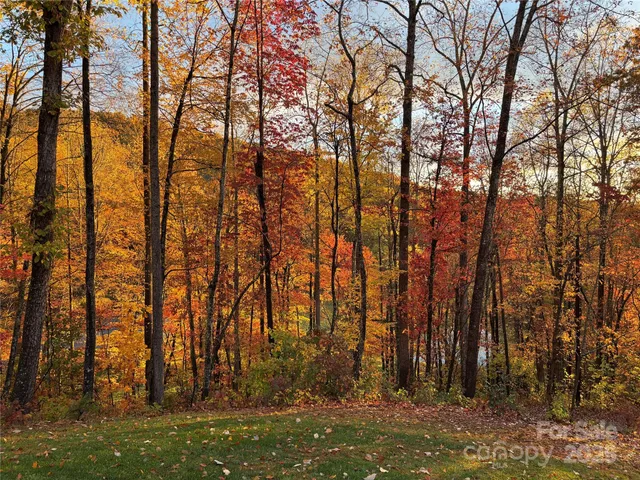 $265,000 | 130 Charity Lane, Candler, NC 28715