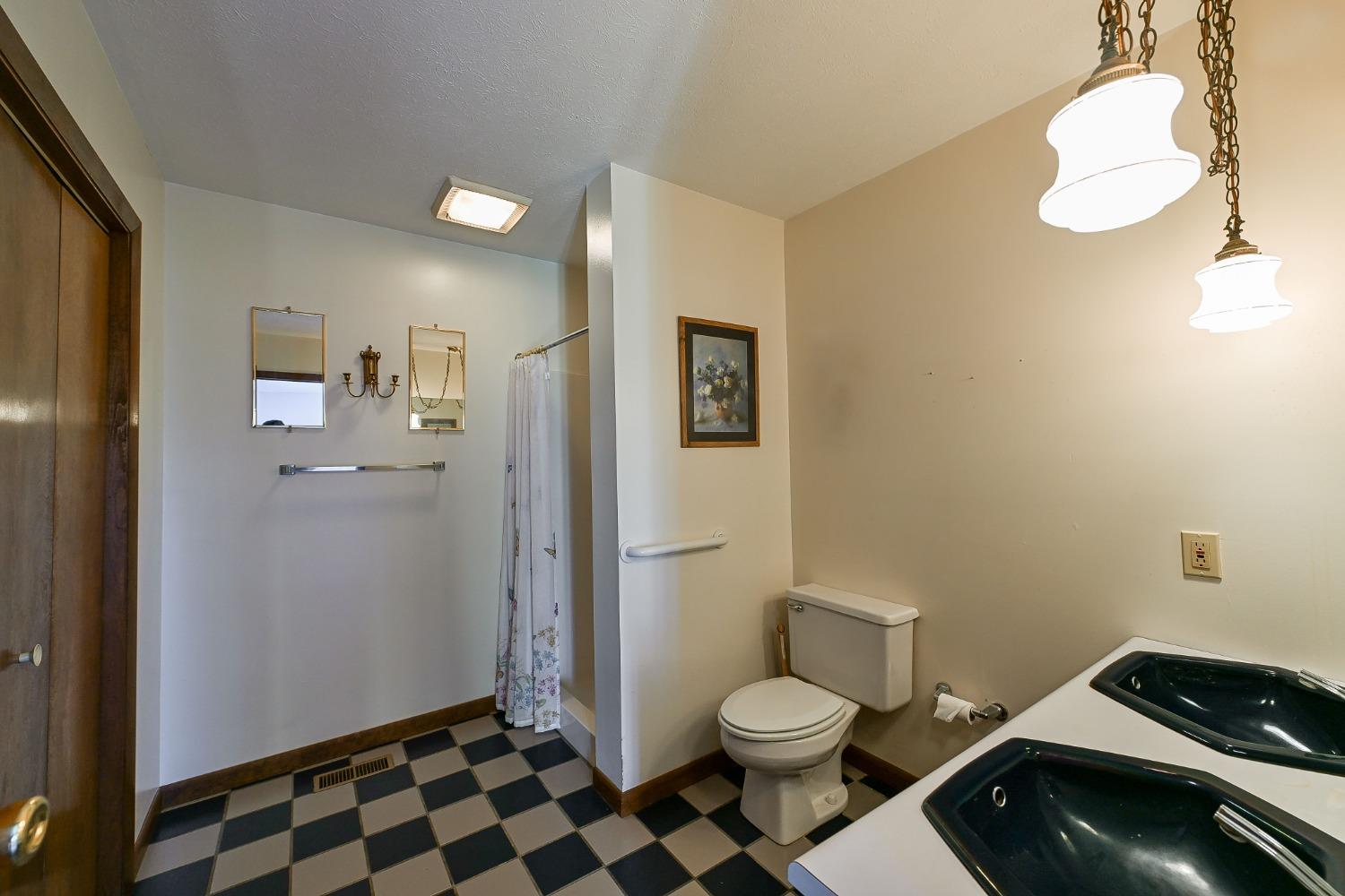 3607 Blue Goose Road Lawrenceburg, IN 47025 - Photo 19 of 48 Master bathroom