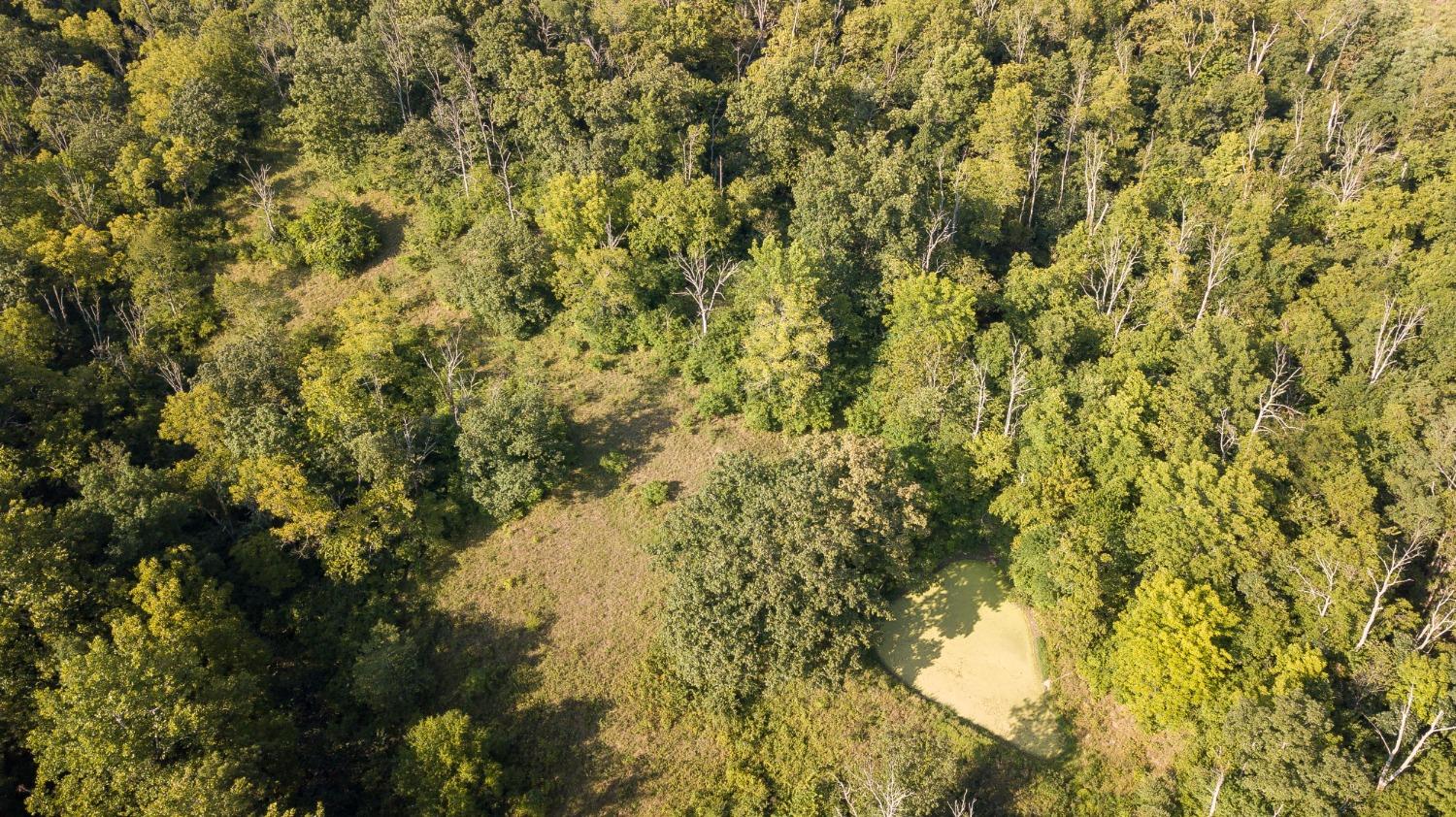 3607 Blue Goose Road Lawrenceburg, IN 47025 - Photo 3 of 48 Pond