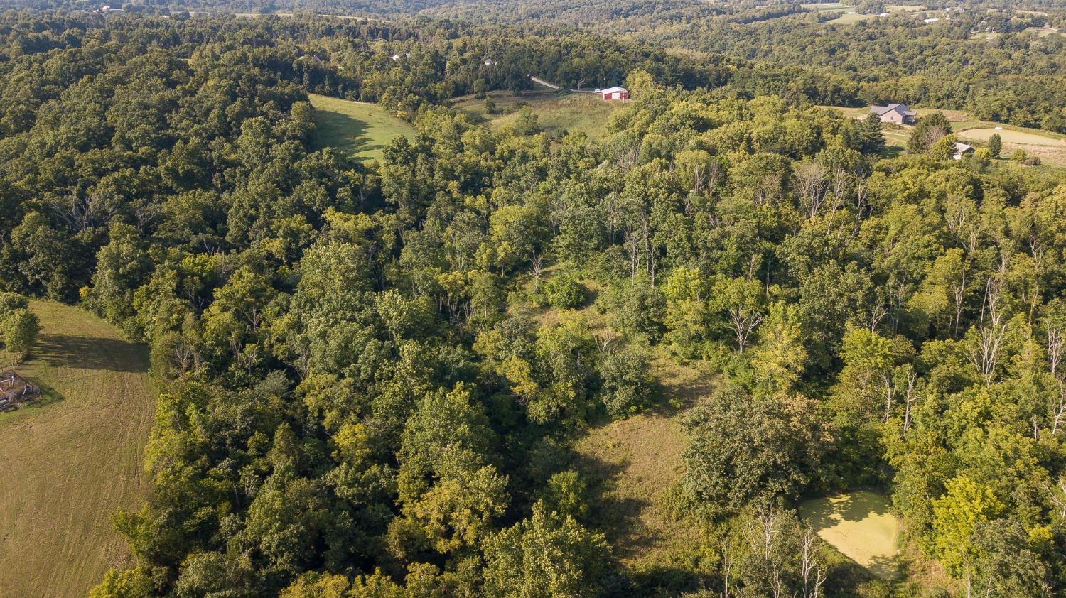 3607 Blue Goose Road Lawrenceburg, IN 47025 - Photo 44 of 48 Gallery Image 44