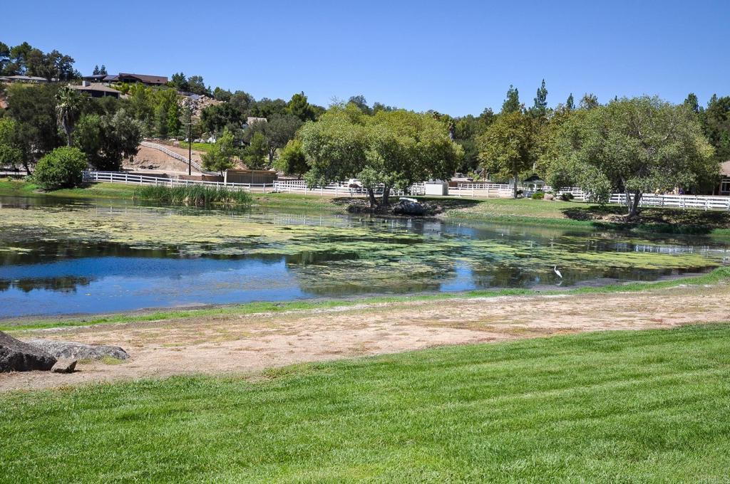 2865 Via Dieguenos Alpine, CA 91901 - Photo 72 of 75 a view of a swimming pool and a yard