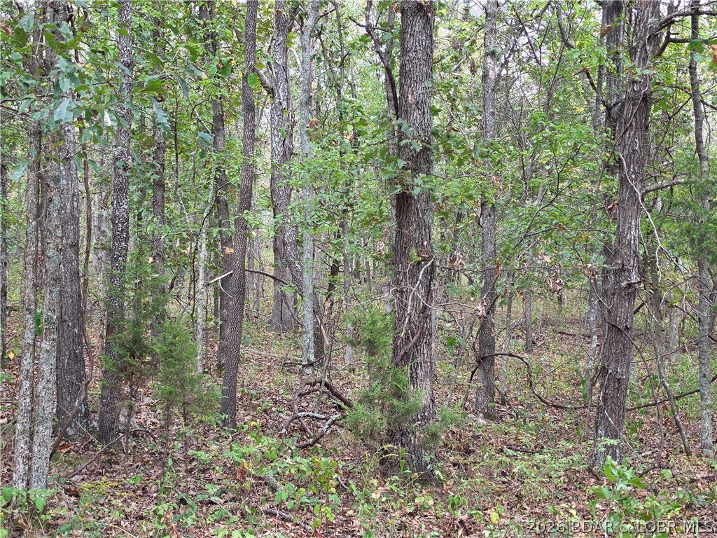 Forbes Road, Unit 2556 & 2557 Edwards, MO 65326 - Photo 25 of 26 Gallery Image 25