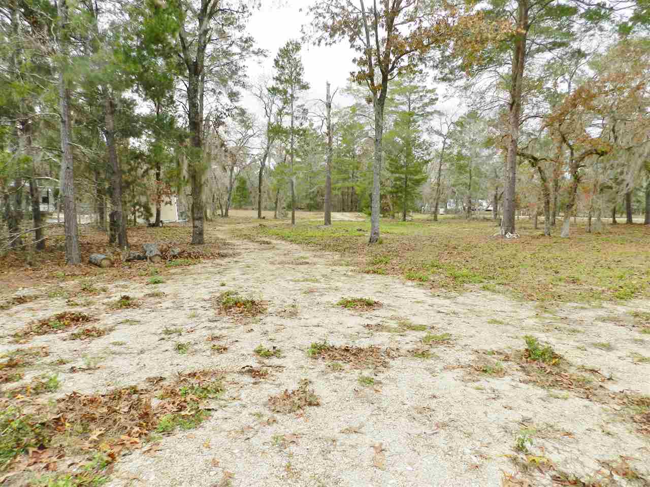 15550 Reed Drive Perry, FL 32348 - Photo 2 of 25 Gallery Image 2