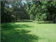 499 Purvis Road Flora, MS 39071 - Photo 3 of 10 Photo 3