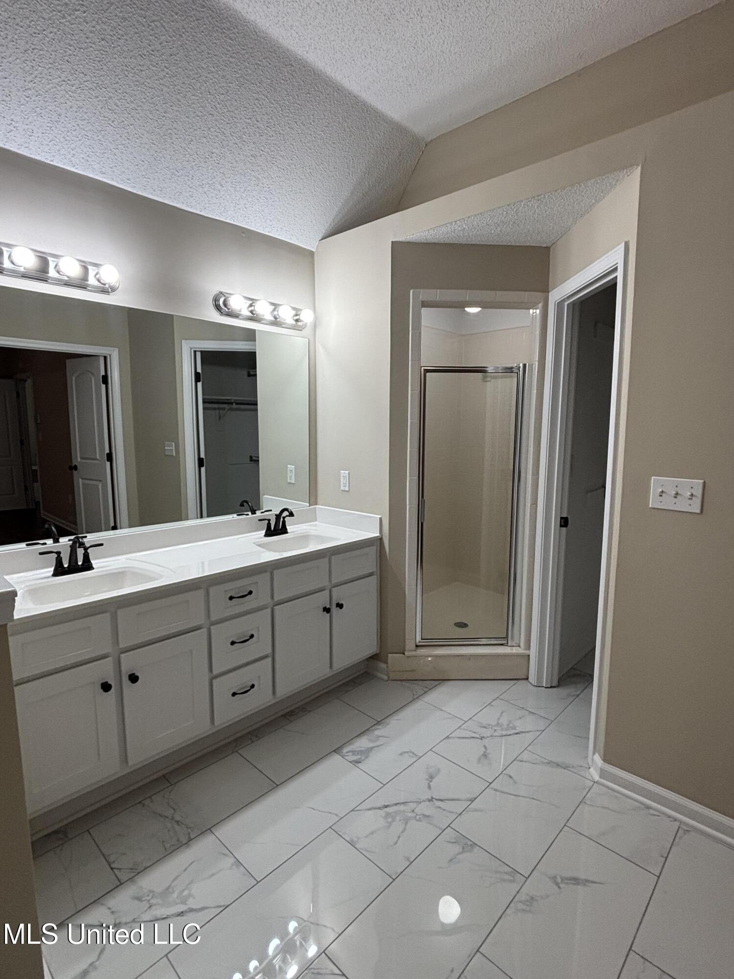 1705 Cedar Lake Cove Hernando, MS 38632 - Photo 14 of 31 master bathroom