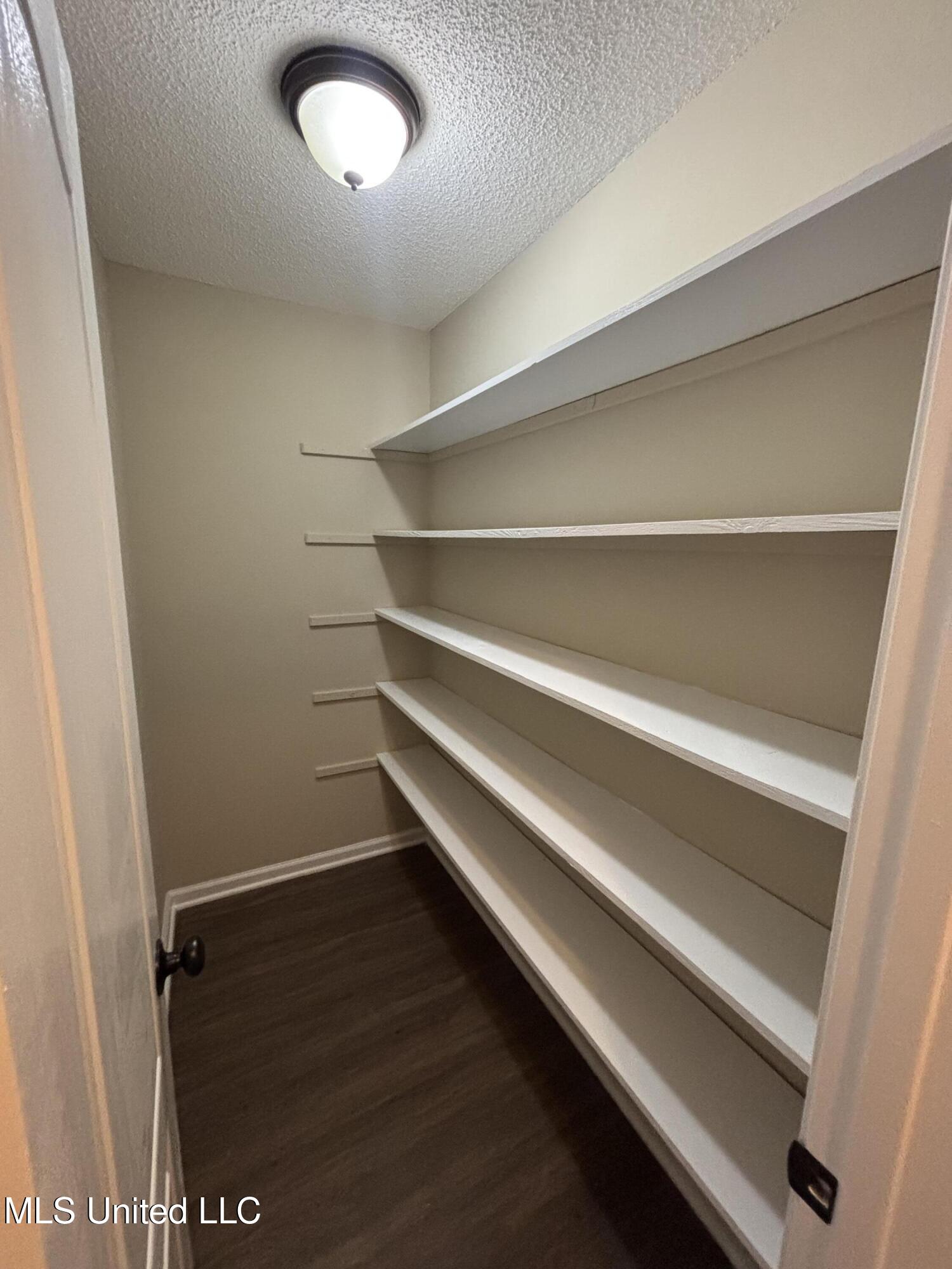 1705 Cedar Lake Cove Hernando, MS 38632 - Photo 23 of 31 pantry