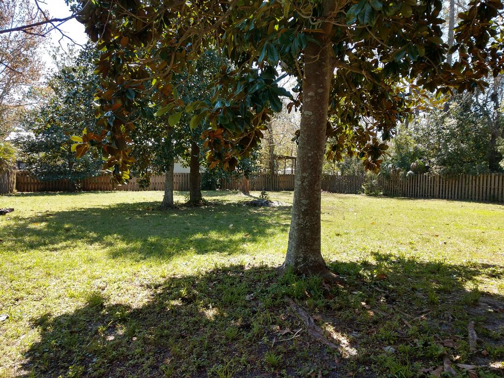 348 Old Ferry Dock Road Eastpoint, FL 32328 - Photo 37 of 42