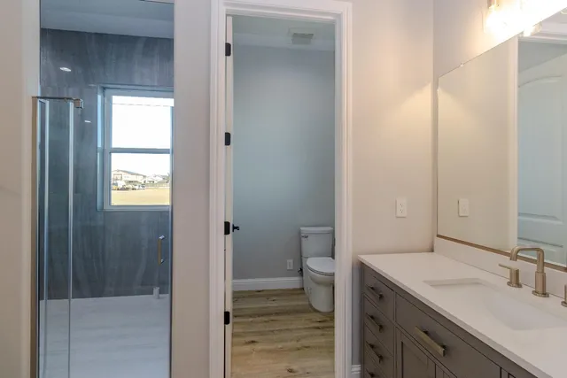a bathroom with a granite countertop sink toilet and shower