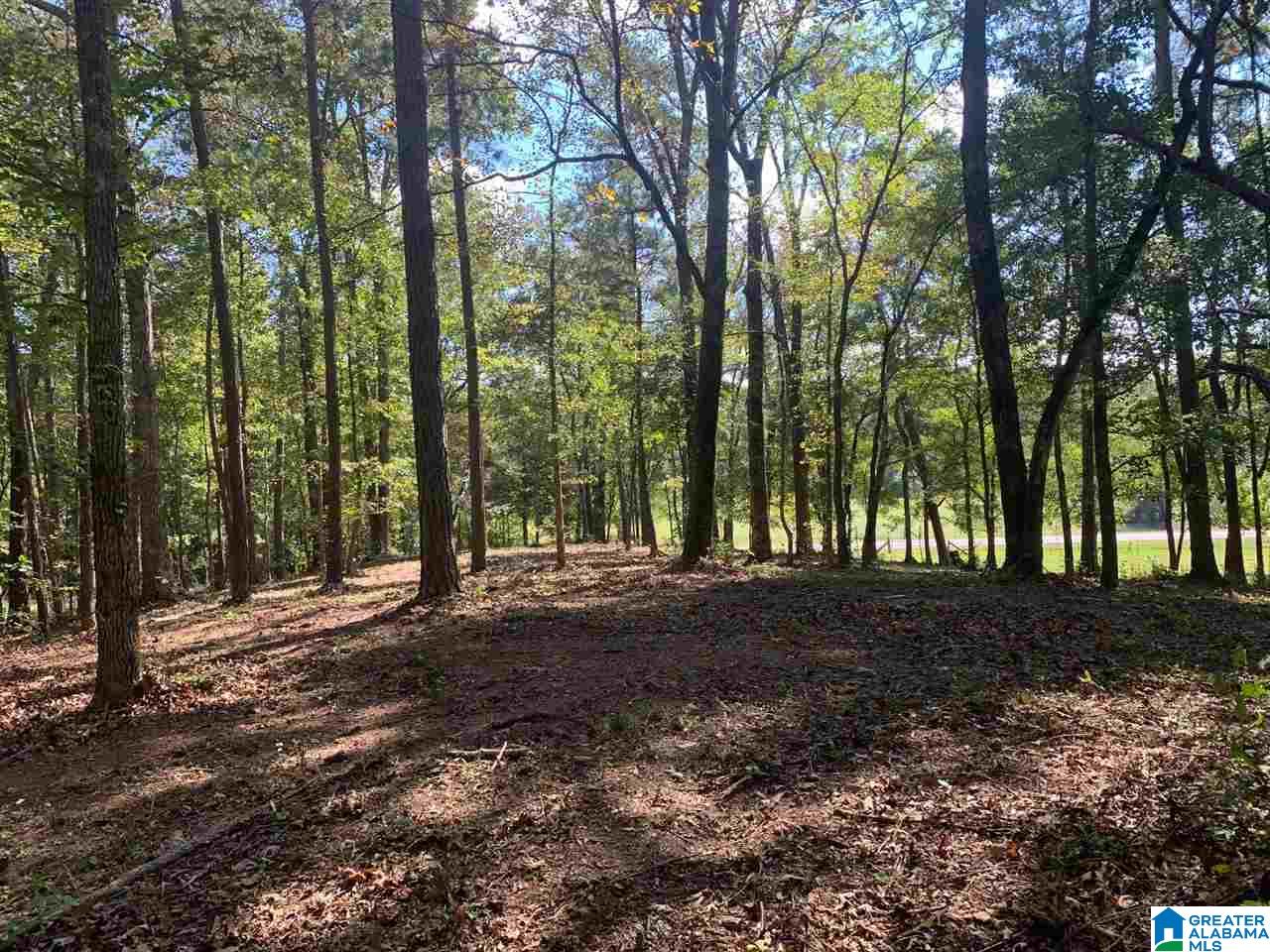 0 Embry Bend Road, Unit 1 Lincoln, AL 35096 - Photo 15 of 15
