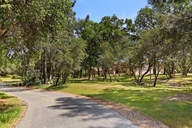 31419 Wyle Ranch Road North Fork, CA 93643 - Photo 5 of 51 Gallery Image 5