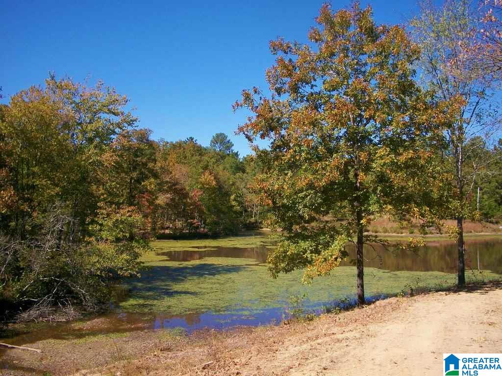 205 Gessler Drive Ohatchee, AL 36271 - Photo 38 of 50