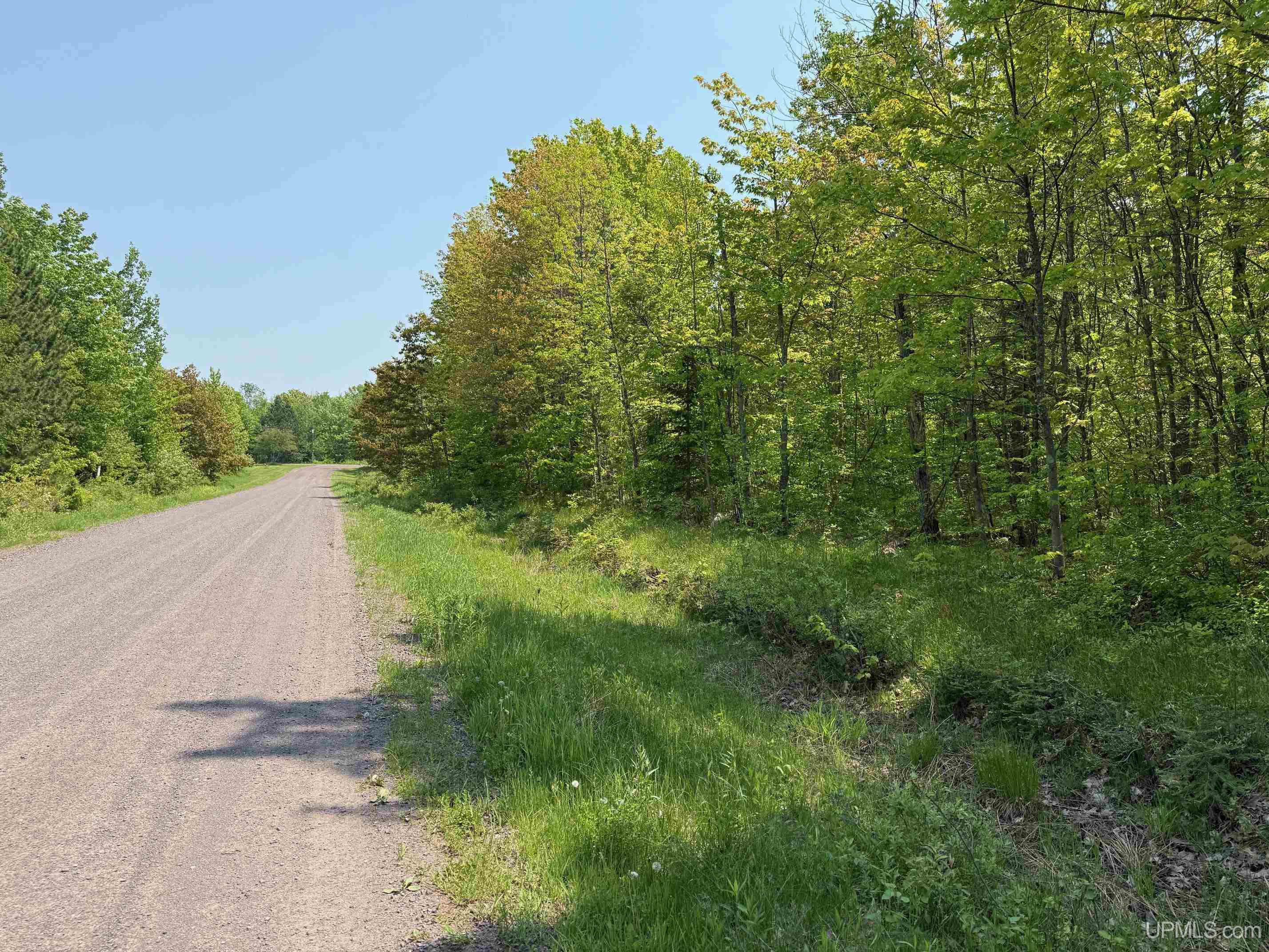 Tbdc Old Rink Road Toivola, MI 49965 - Photo 5 of 18 Gallery Image 5