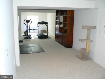 1356 Destrier Street Ranson, WV 25438 - Photo 4 of 30 Basement