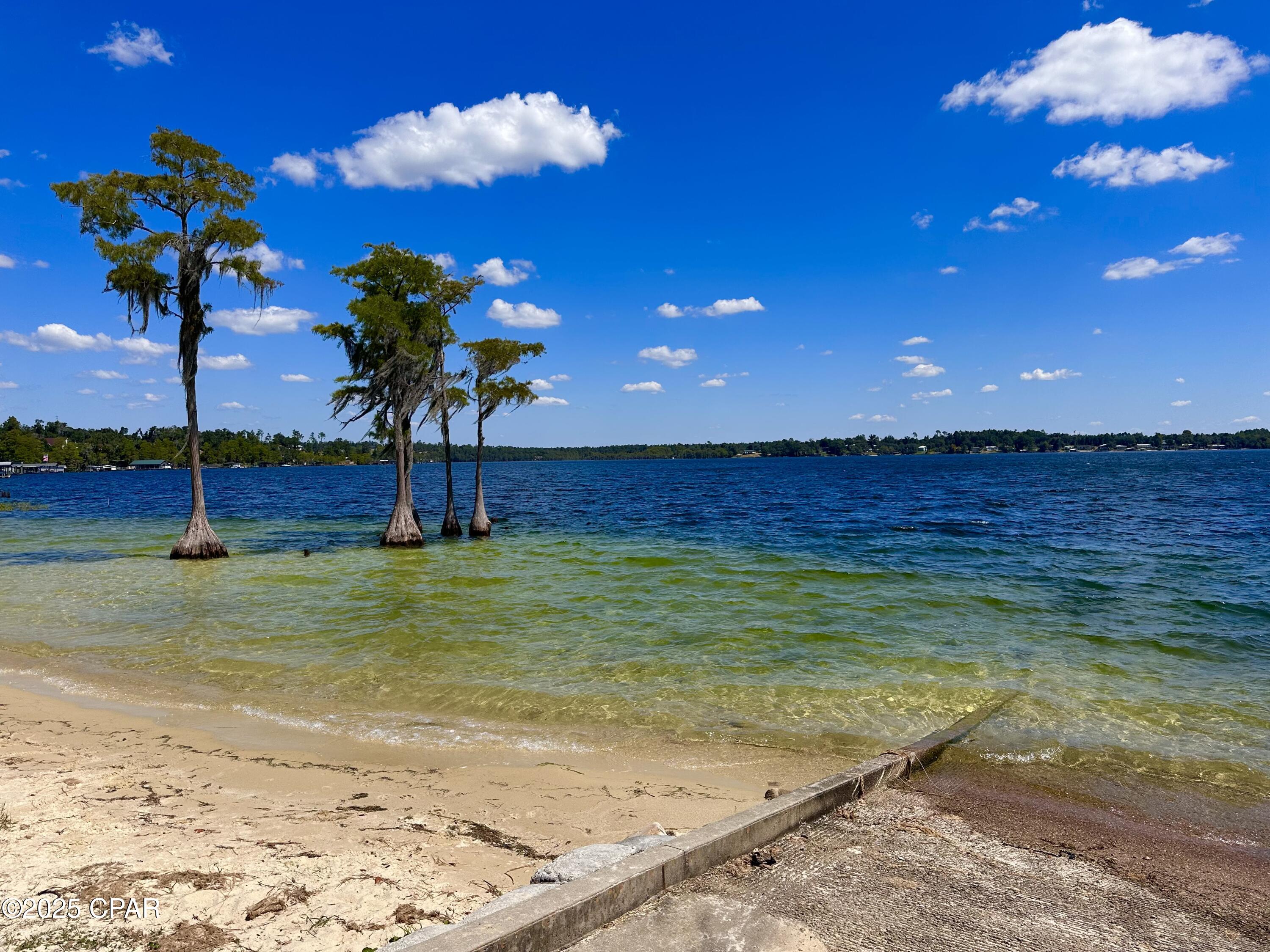 Lot 24 Fairview Road Marianna, FL 32448 - Photo 13 of 22 Gallery Image 13