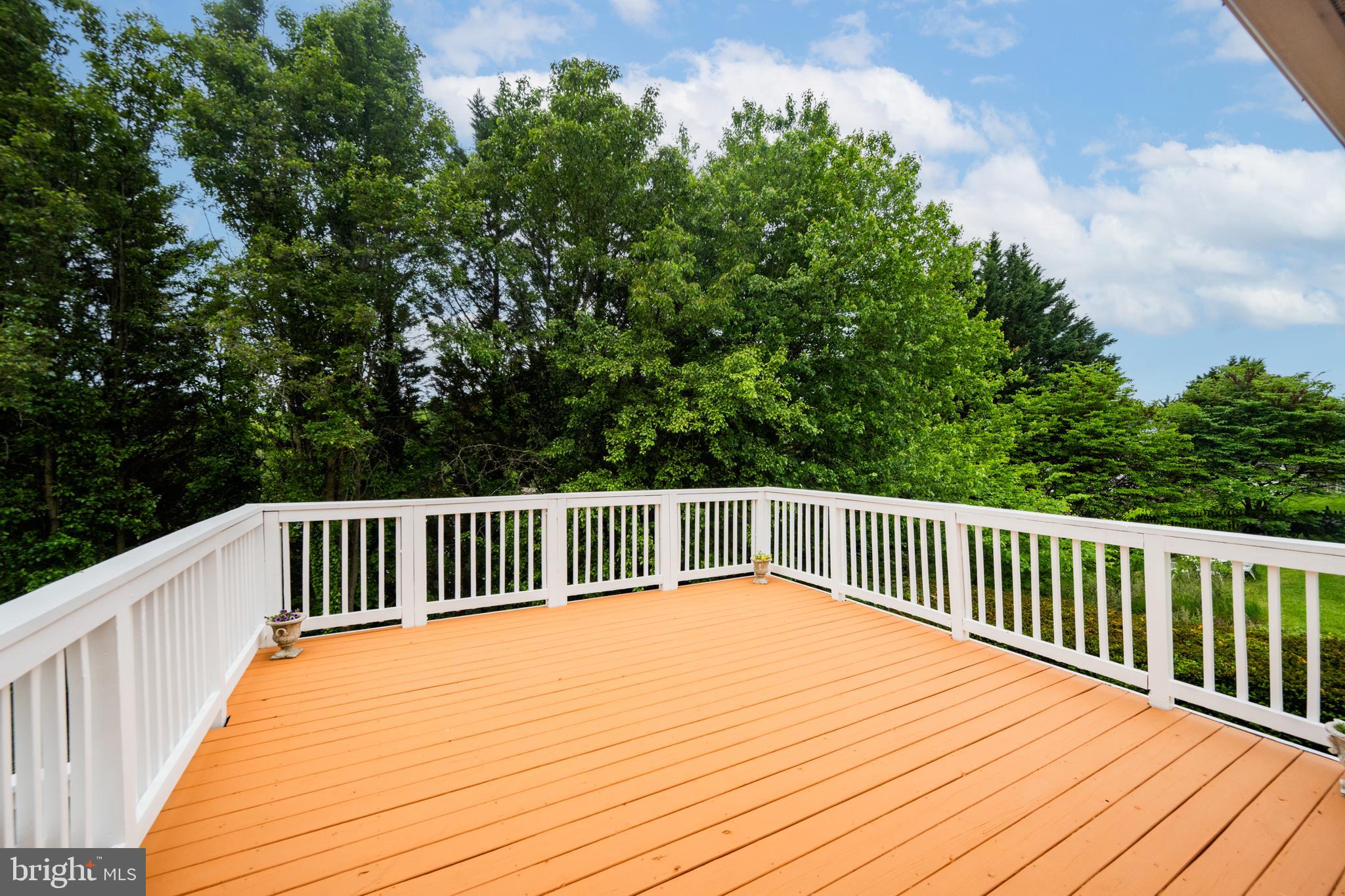 6569 Tydings Road Eldersburg, MD 21784 - Photo 40 of 60 Deck