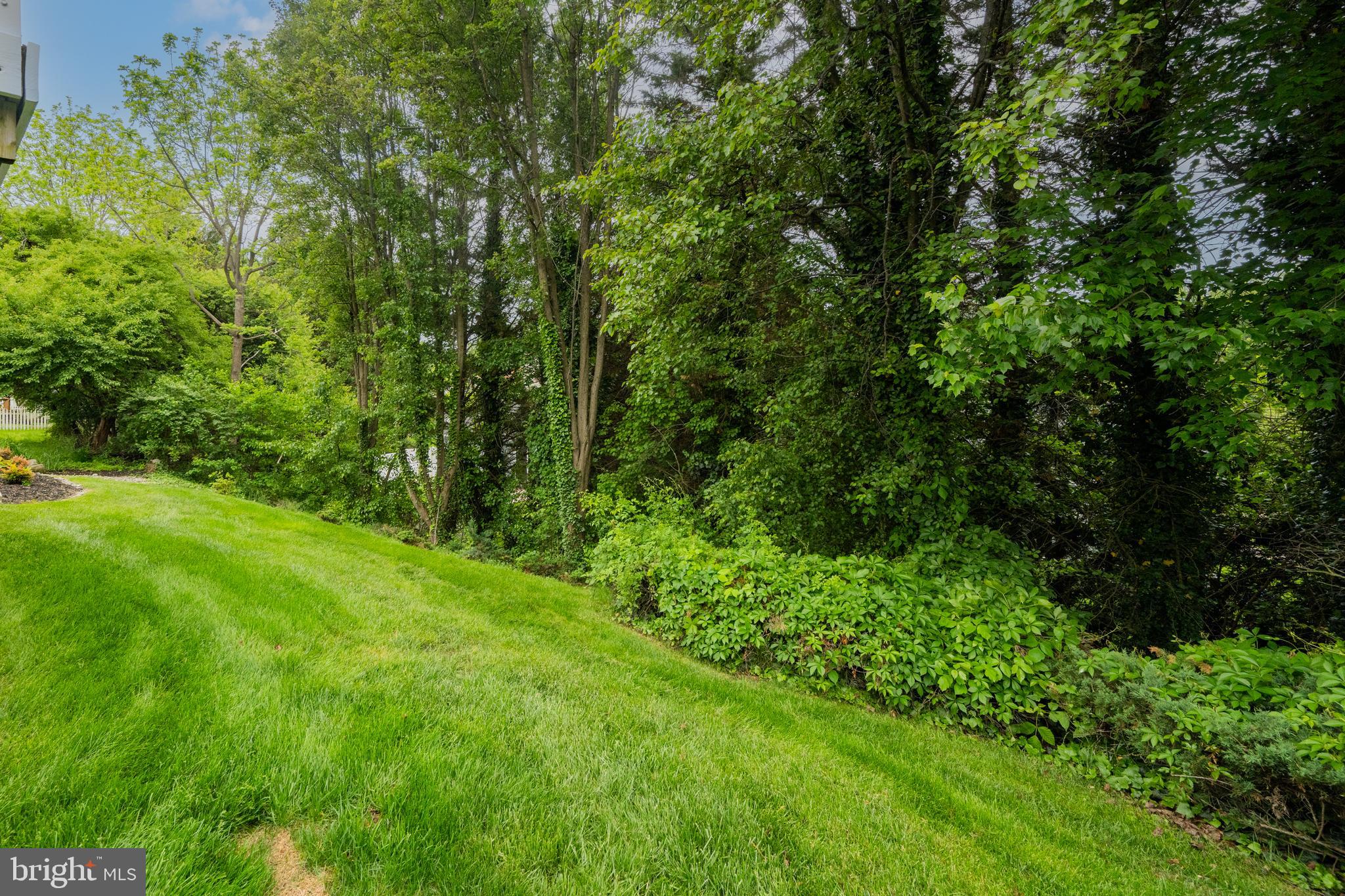 6569 Tydings Road Eldersburg, MD 21784 - Photo 48 of 60 Yard