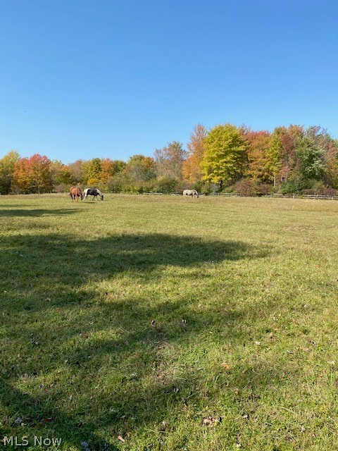 7700 Fairmount Road Novelty, OH 44072 - Photo 17 of 18
