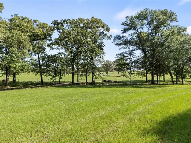 a view of a park with large trees