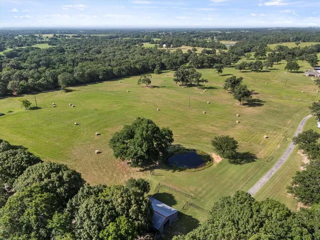 a view of a lake with large trees