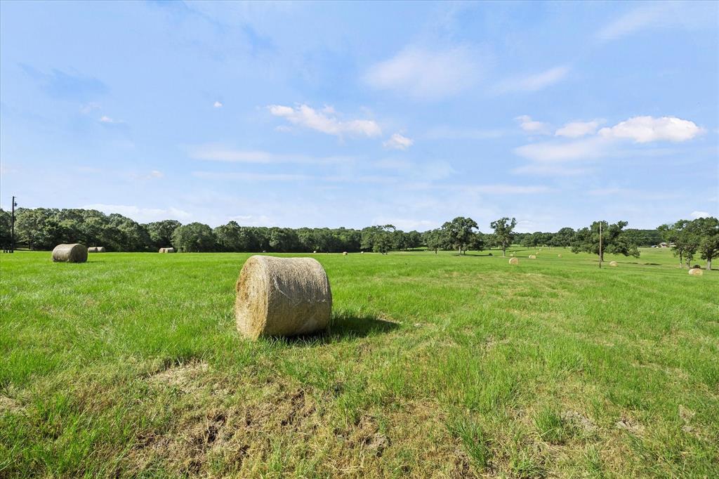 3104 County Road 3104 Edgewood, TX 75117 - Photo 14 of 24 a view of a garden from a lake view